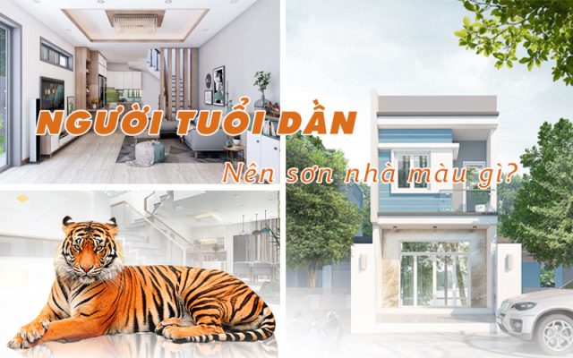 Người tuổi dần nên sơn nhà màu gì thu hút tài lộc vượng khí?